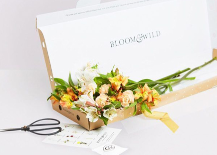 Bloom wild