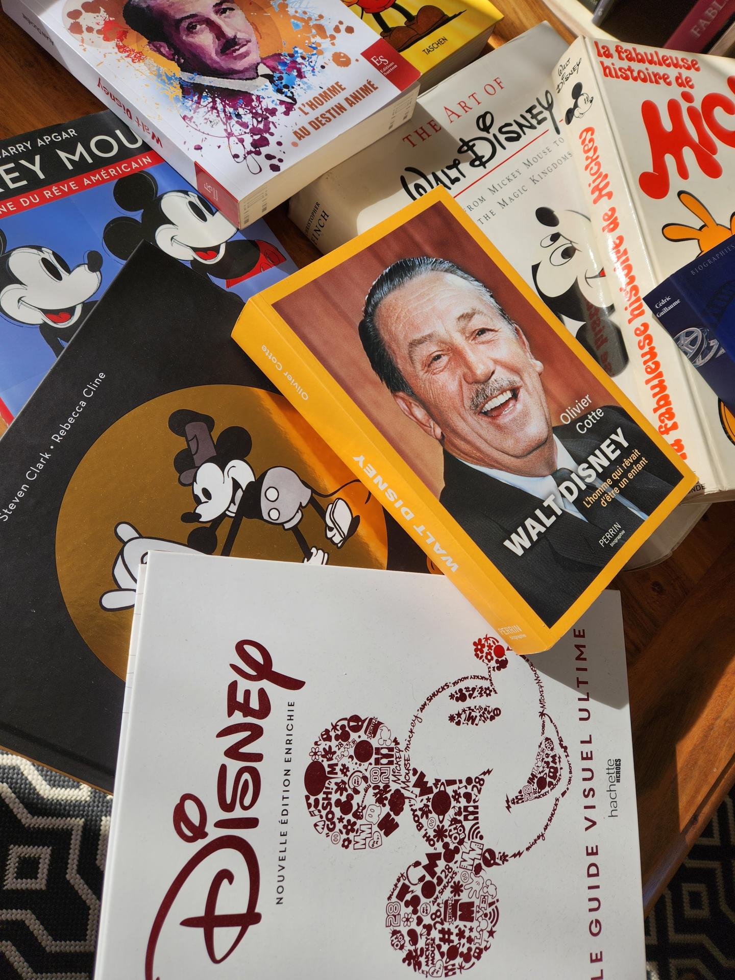 Visuel livres disney